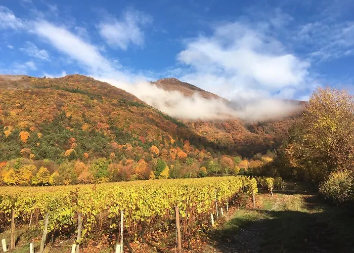 La Gravinette B&B 3*