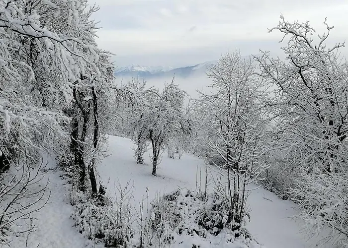 B&B La Gravinette